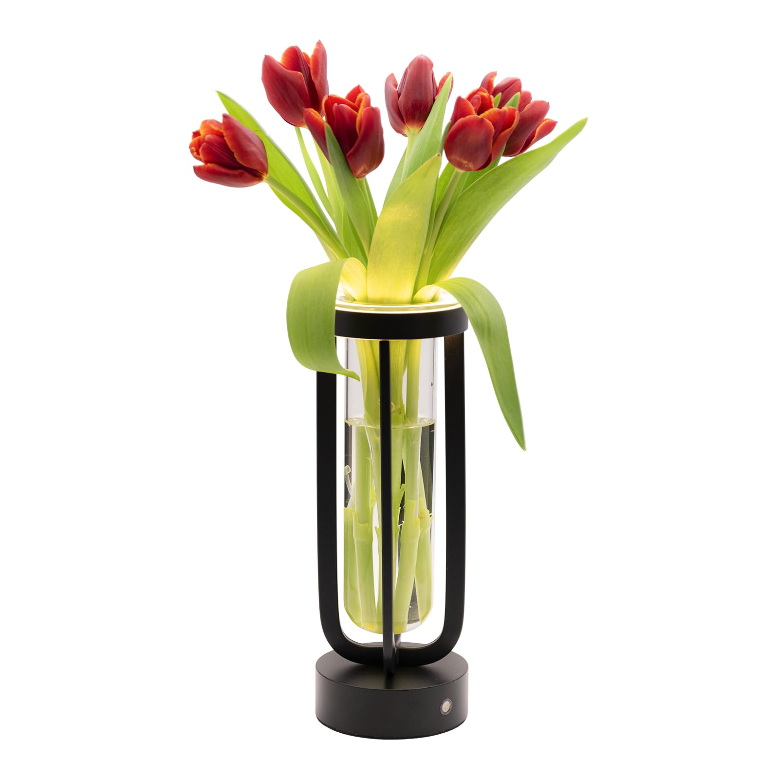 securit-nova-florence-led-leuchte-vase-dimmbar image 1