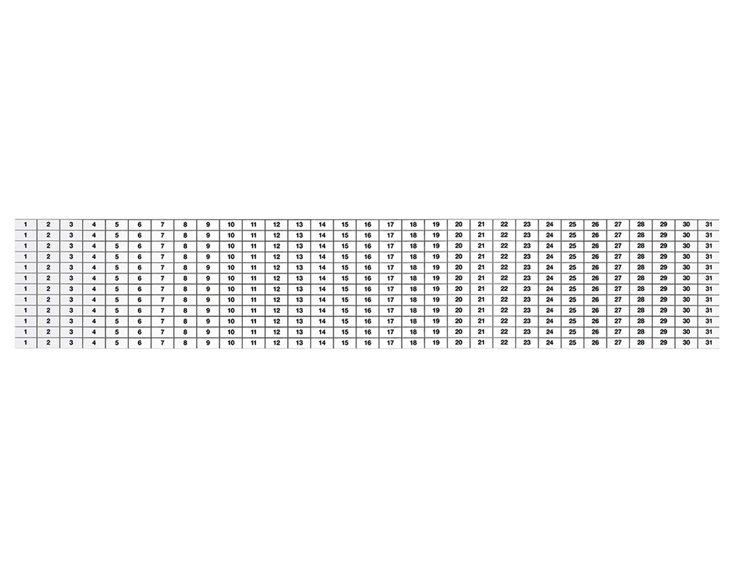 magnetoplan-magnetoflex-kalenderstreifen-manager-1-31-12-teilig image 1