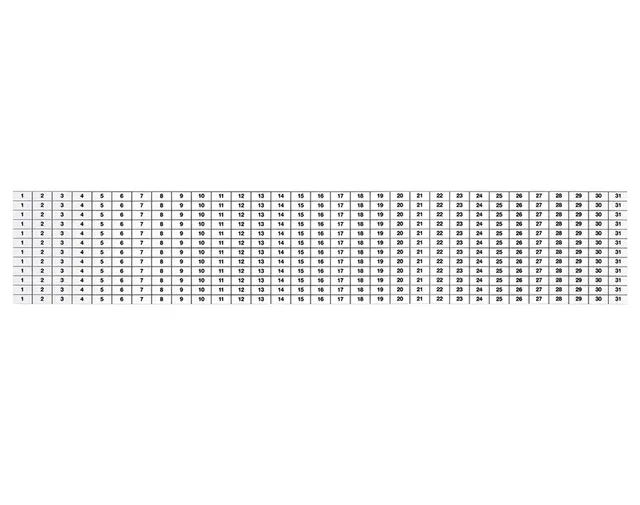 magnetoplan-magnetoflex-kalenderstreifen-manager-1-31-12-teilig image 1