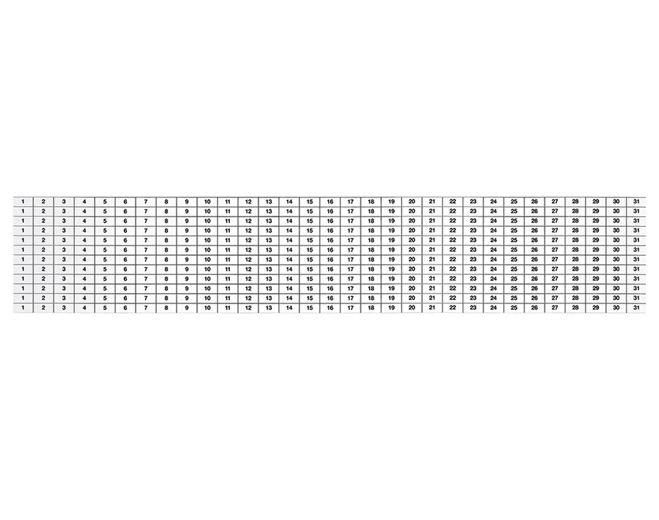 magnetoplan-magnetoflex-kalenderstreifen-manager-1-31-12-teilig image 1
